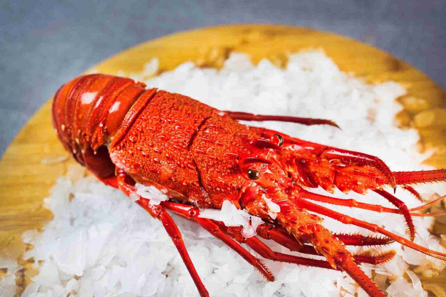 Cooked Western Rock Lobster (each lobster)