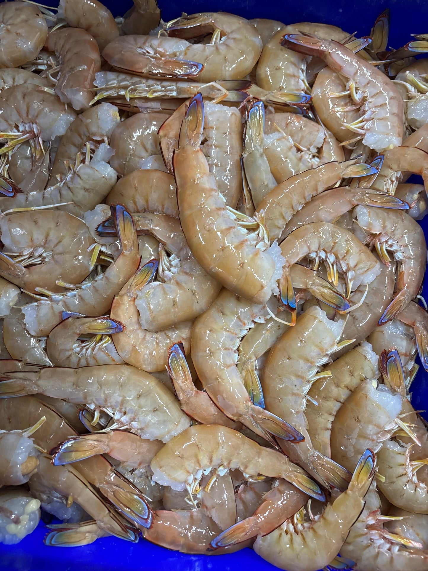 Large Headless Green King Prawns (per 1kg)