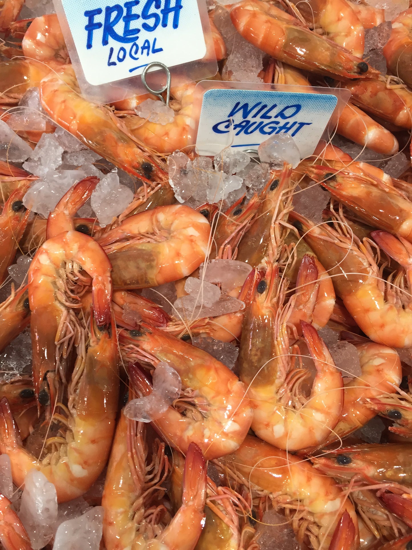 Large Cooked King Prawns (per 1kg)