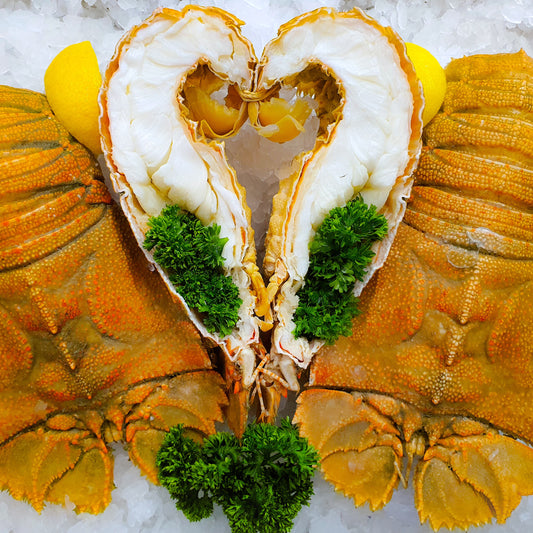 Cooked Medium Moreton Bay Bugs (per 1kg)