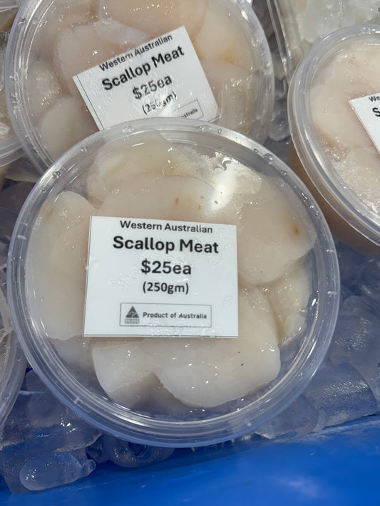WA Scallop Meat- 250gm Punnet