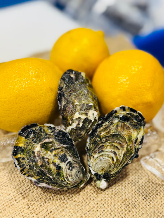 Premium A Grade Pacific Oyster - Unshucked (per 1 dozen)